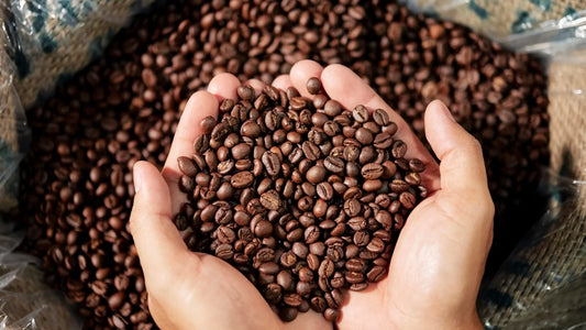 How Long Do Coffee Beans Stay Fresh After Roasting?