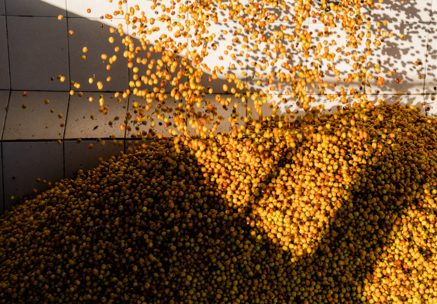 Guatemala San Isidro