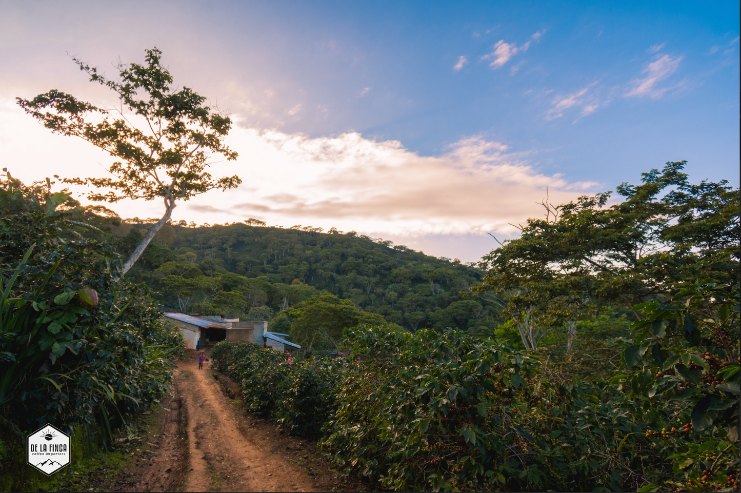 Honduras Santa Lucia