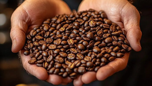 How to Tell If Your Coffee Beans Are Truly Fresh or Just Repackaged