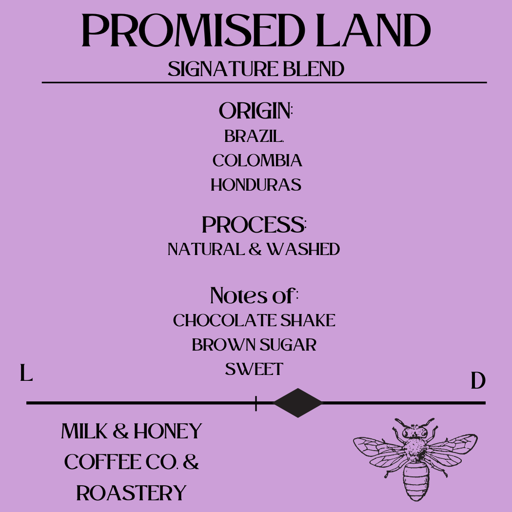 The Promised Land