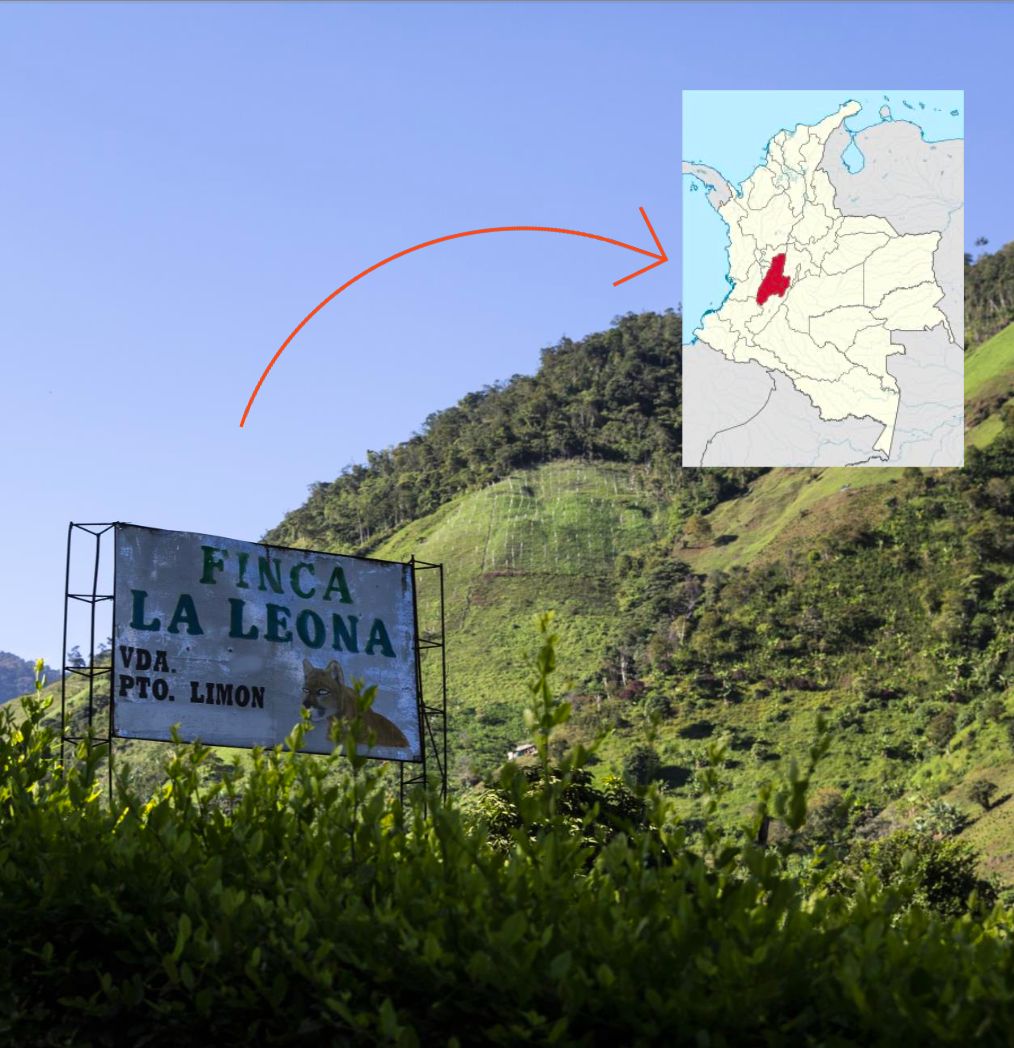 Colombia La Leona